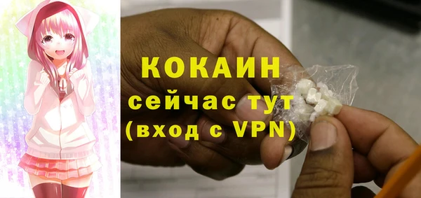МДПВ Абаза