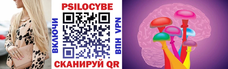 Псилоцибиновые грибы Psilocybe  Белая Калитва 